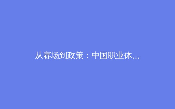 从赛场到政策：中国职业体育的商业化转型与全民健康战略的双轨演进 - 4